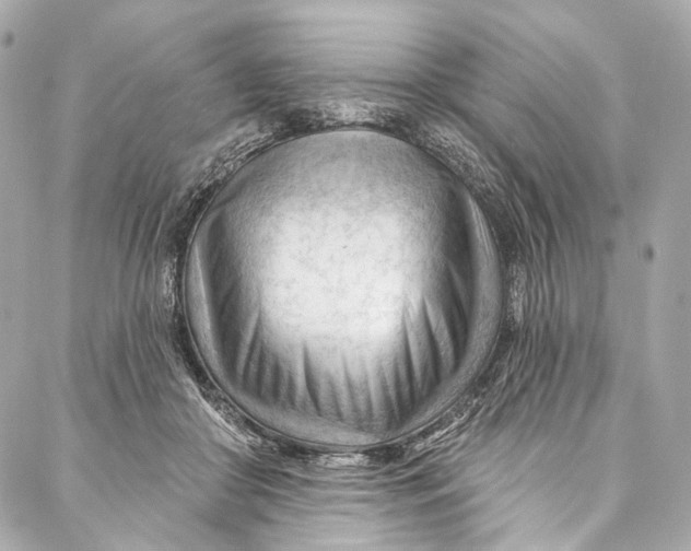 X0000087030410200705071539