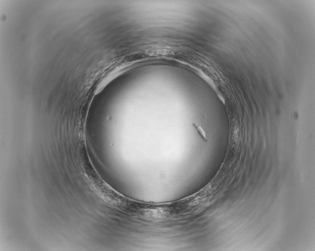 X0000087030411200705071539