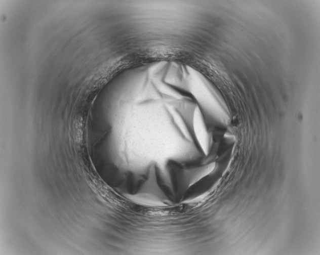 X0000087030413200705071539