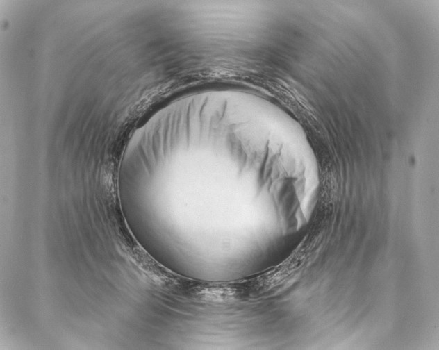 X0000087030415200705071539