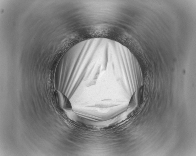 X0000087030416200705071539