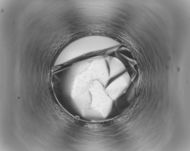 X0000087030417200705071539