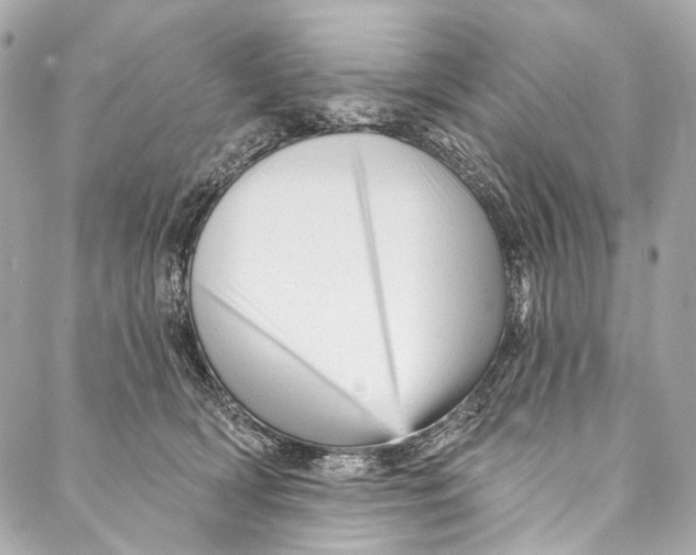 X0000087030418200705071539