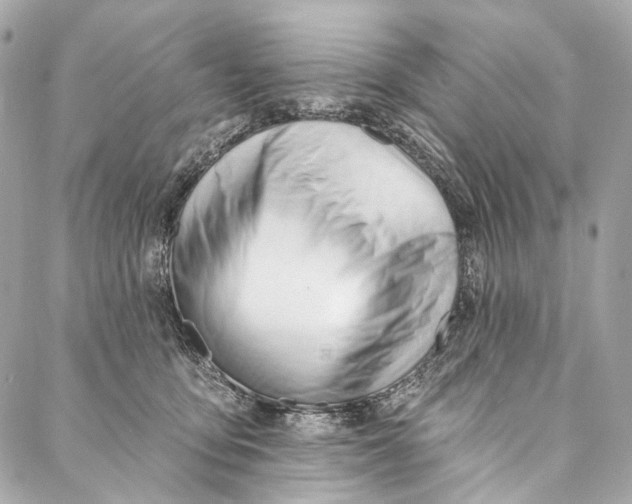 X0000087030419200705071539