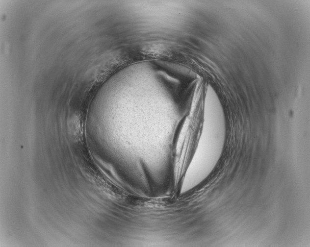 X0000087030420200705071539