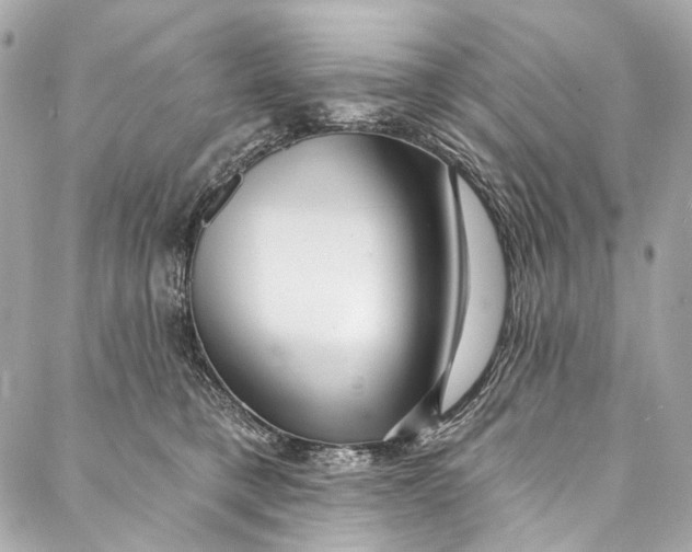 X0000087030421200705071539