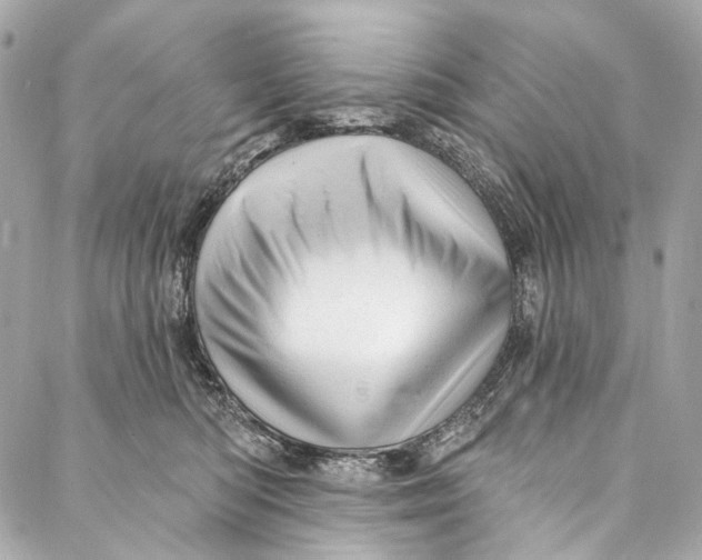 X0000087030422200705071539