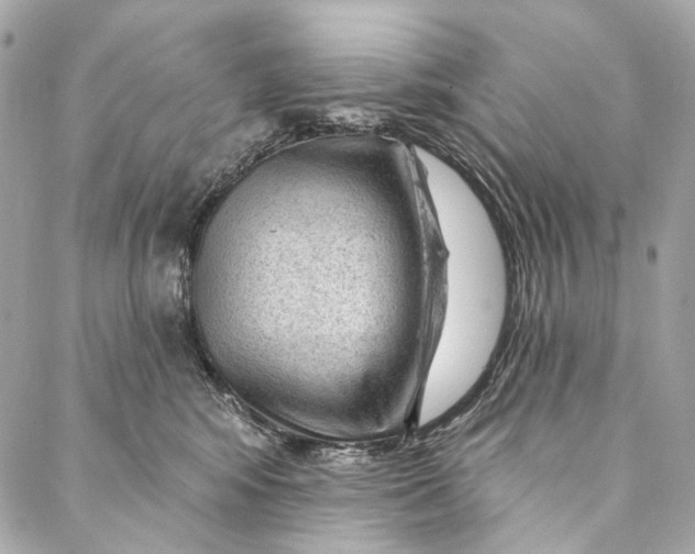 X0000087030424200705071539