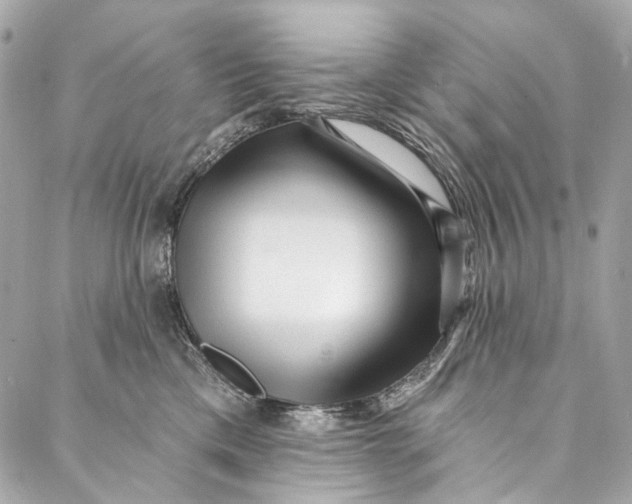 X0000087030425200705071539