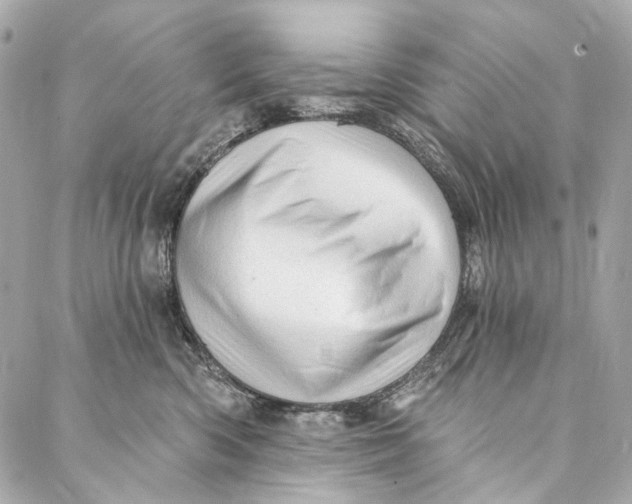 X0000087030426200705071539