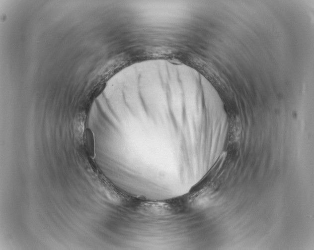 X0000087030427200705071539