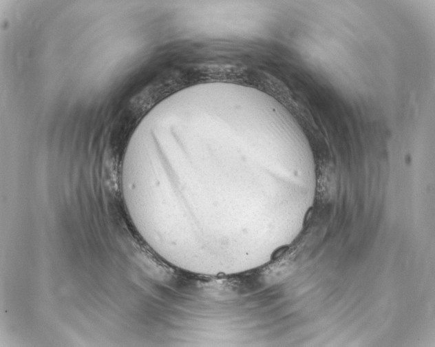 X0000087030430200705071539