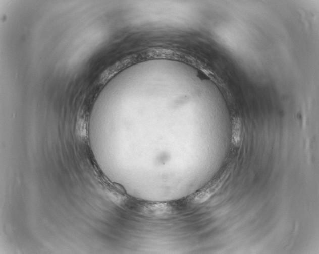 X0000087030431200705071539