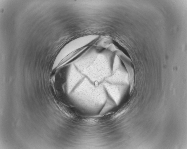 X0000087030432200705071539