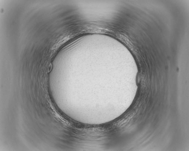 X0000087030433200705071538