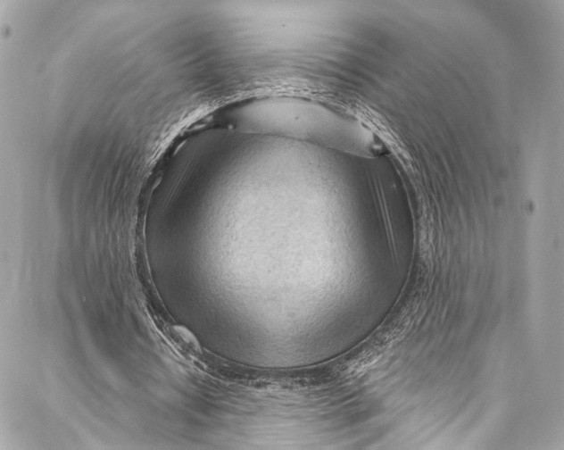 X0000087030434200705071538