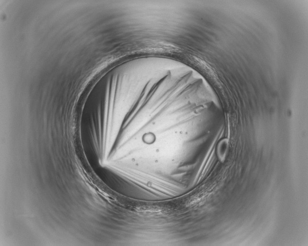 X0000087030435200705071538