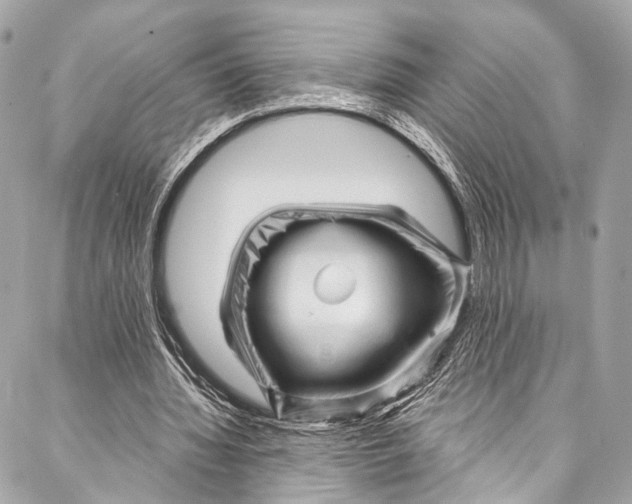 X0000087030436200705071538