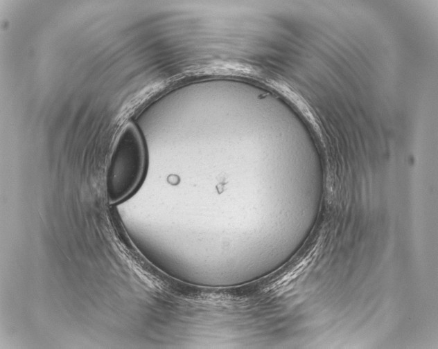 X0000087030437200705071538