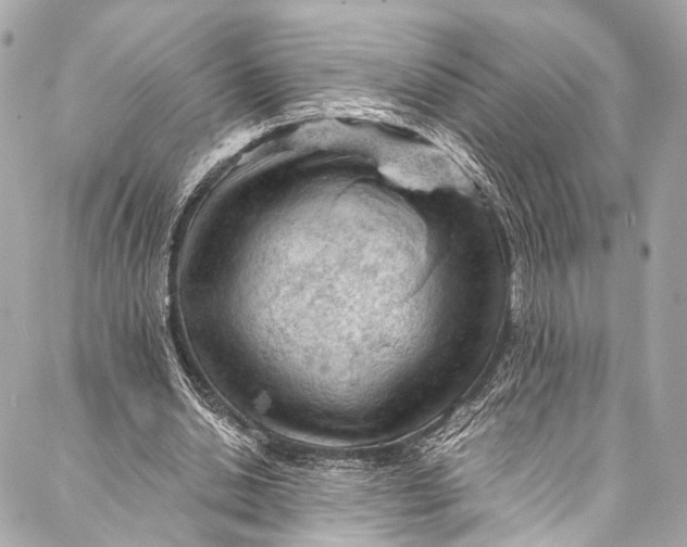 X0000087030438200705071538