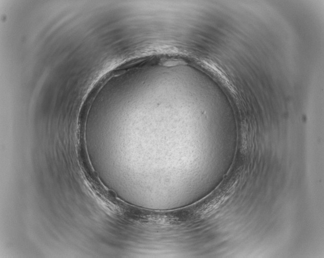 X0000087030439200705071538