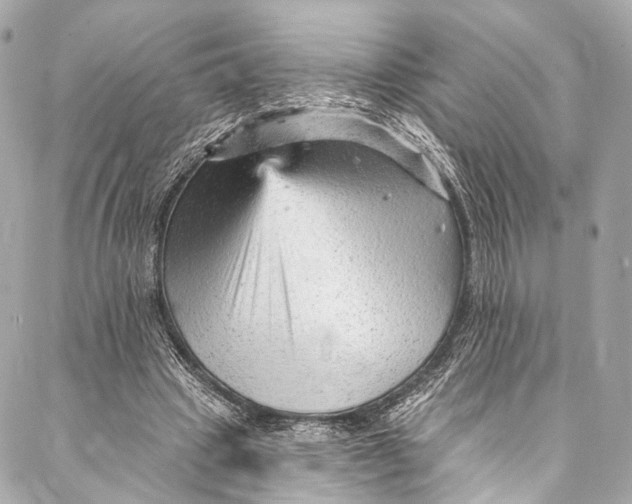 X0000087030441200705071538