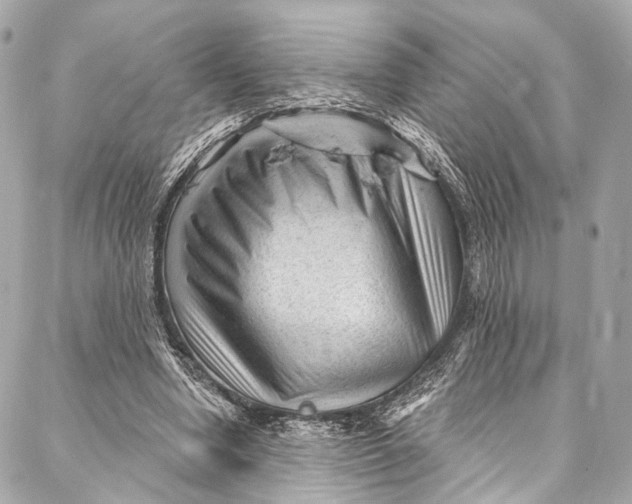 X0000087030442200705071538