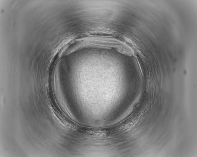 X0000087030443200705071538