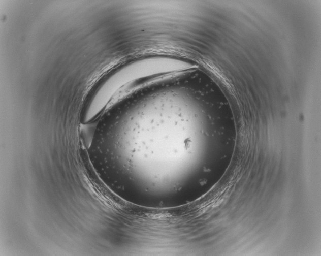 X0000087030446200705071538