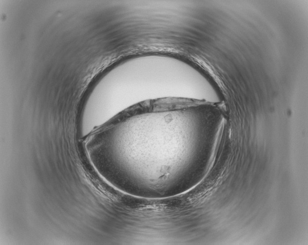 X0000087030447200705071538