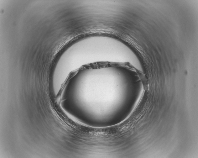 X0000087030448200705071538