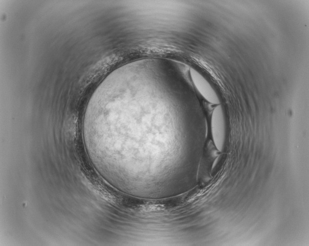 X0000087030451200705071538