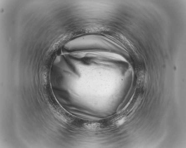 X0000087030452200705071538