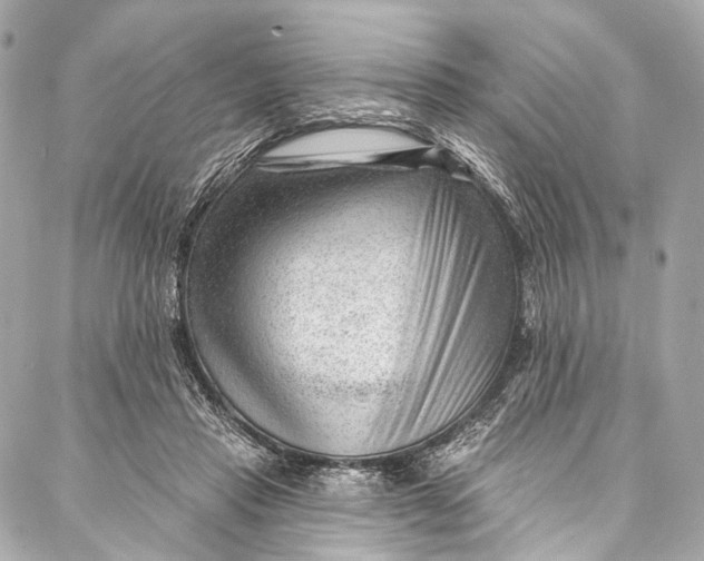 X0000087030453200705071538