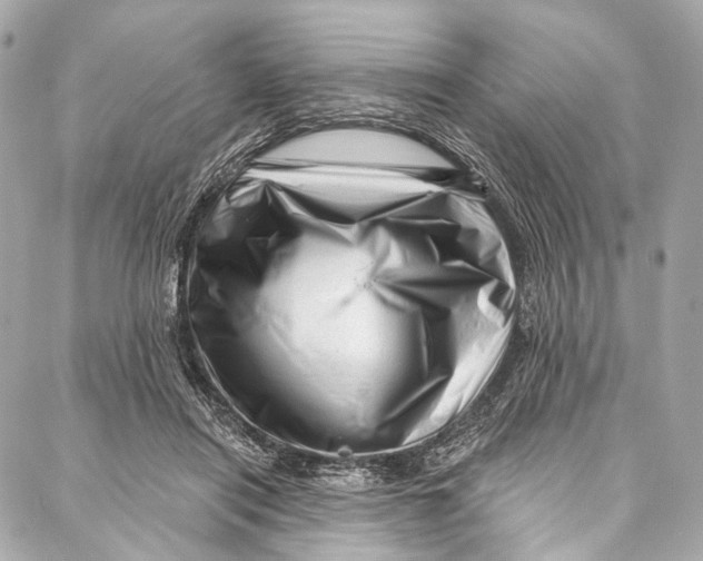 X0000087030454200705071538