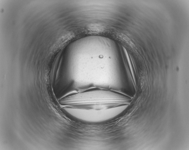 X0000087030455200705071539