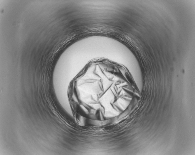 X0000087030456200705071539