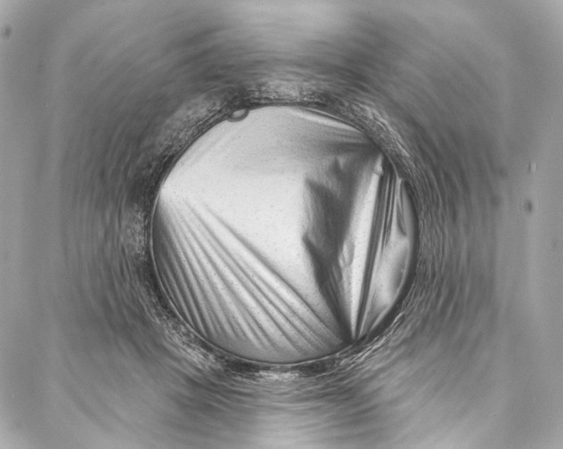 X0000087030457200705071539