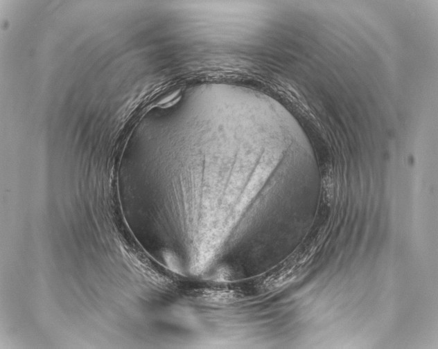 X0000087030458200705071539