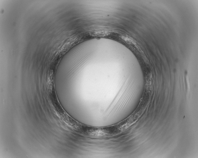 X0000087030460200705071539