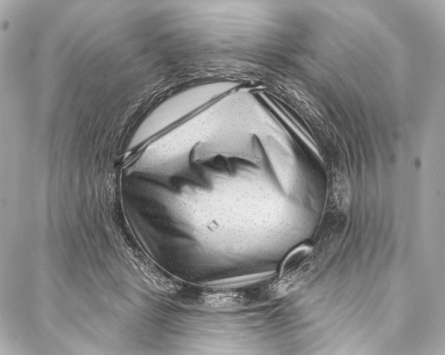 X0000087030461200705071539