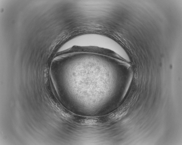 X0000087030462200705071539