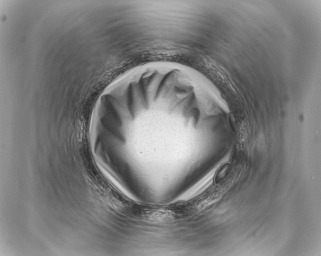 X0000087030463200705071539