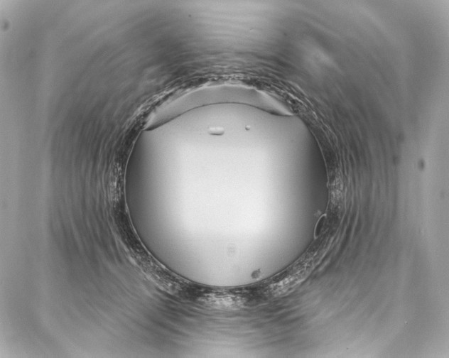 X0000087030464200705071539