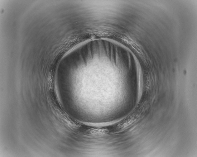 X0000087030465200705071539