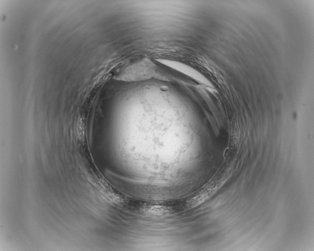 X0000087030467200705071539