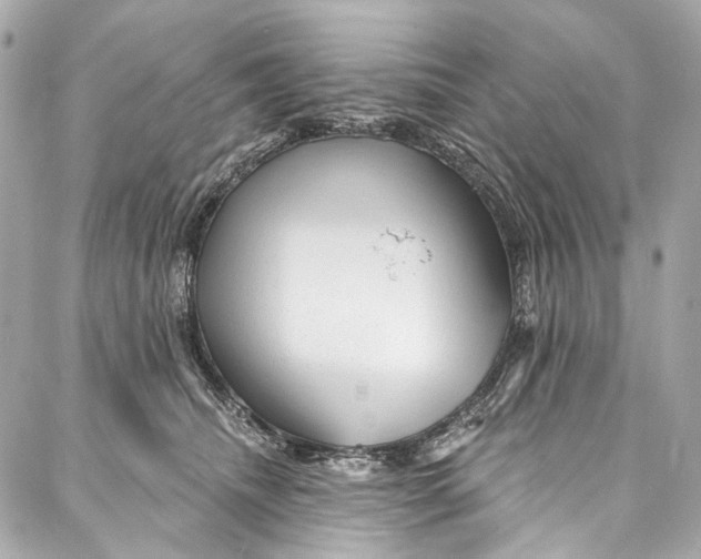 X0000087030468200705071539