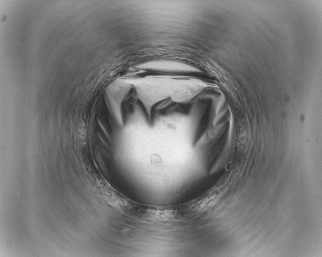 X0000087030469200705071539