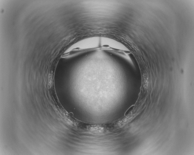 X0000087030471200705071539