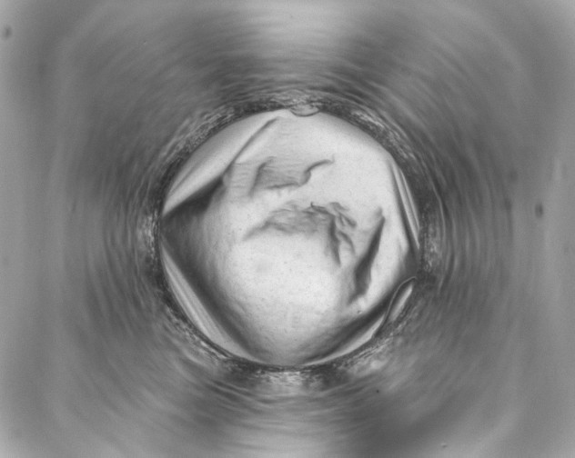 X0000087030473200705071539